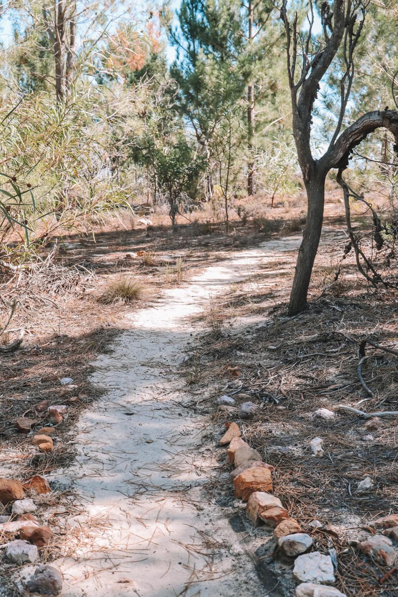 Avani Lodge Private Nature Reserve Botrivier Kültér fotó